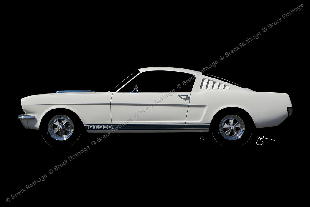 Pony fine art, featuring a 1965 Ford Mustang Shelby GT350 in profile on metal canvas.  Only 521 production models were built before August 1965.
